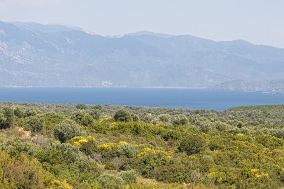  Land For Sale Aydın,Türkiye